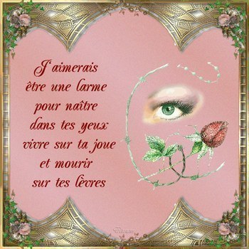 j'aimerais être une larme....