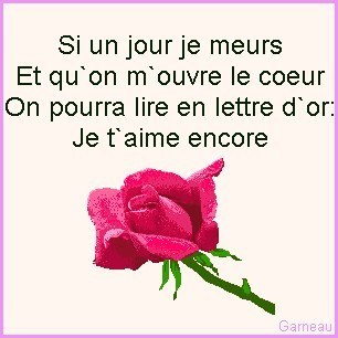 si je un jour je meurs.....